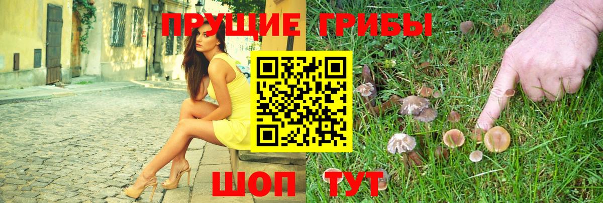 Галлюциногенные грибы ЛСД  Вход с VPN  Подольск 